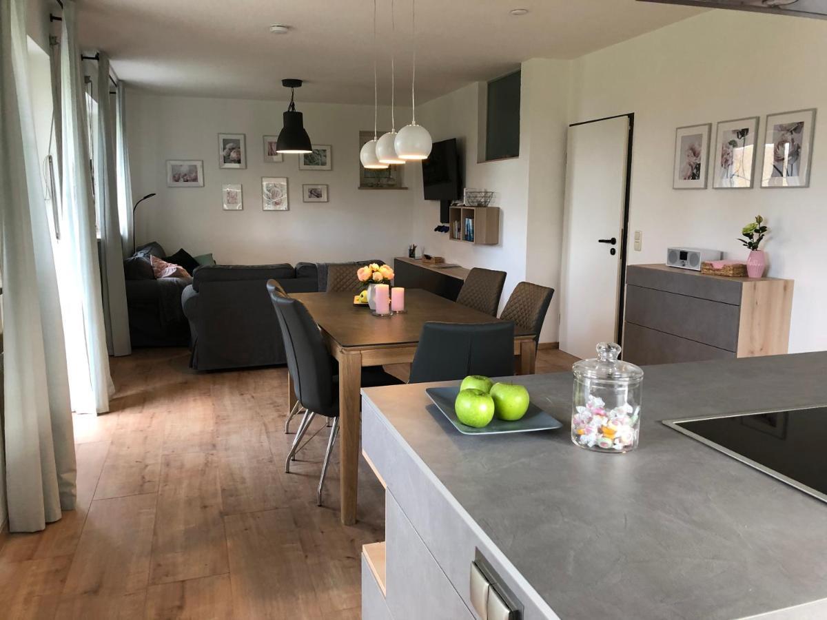 Haus Am Spitalgarten Fuer 10 Personen Gundelfingen an der Donau Luaran gambar